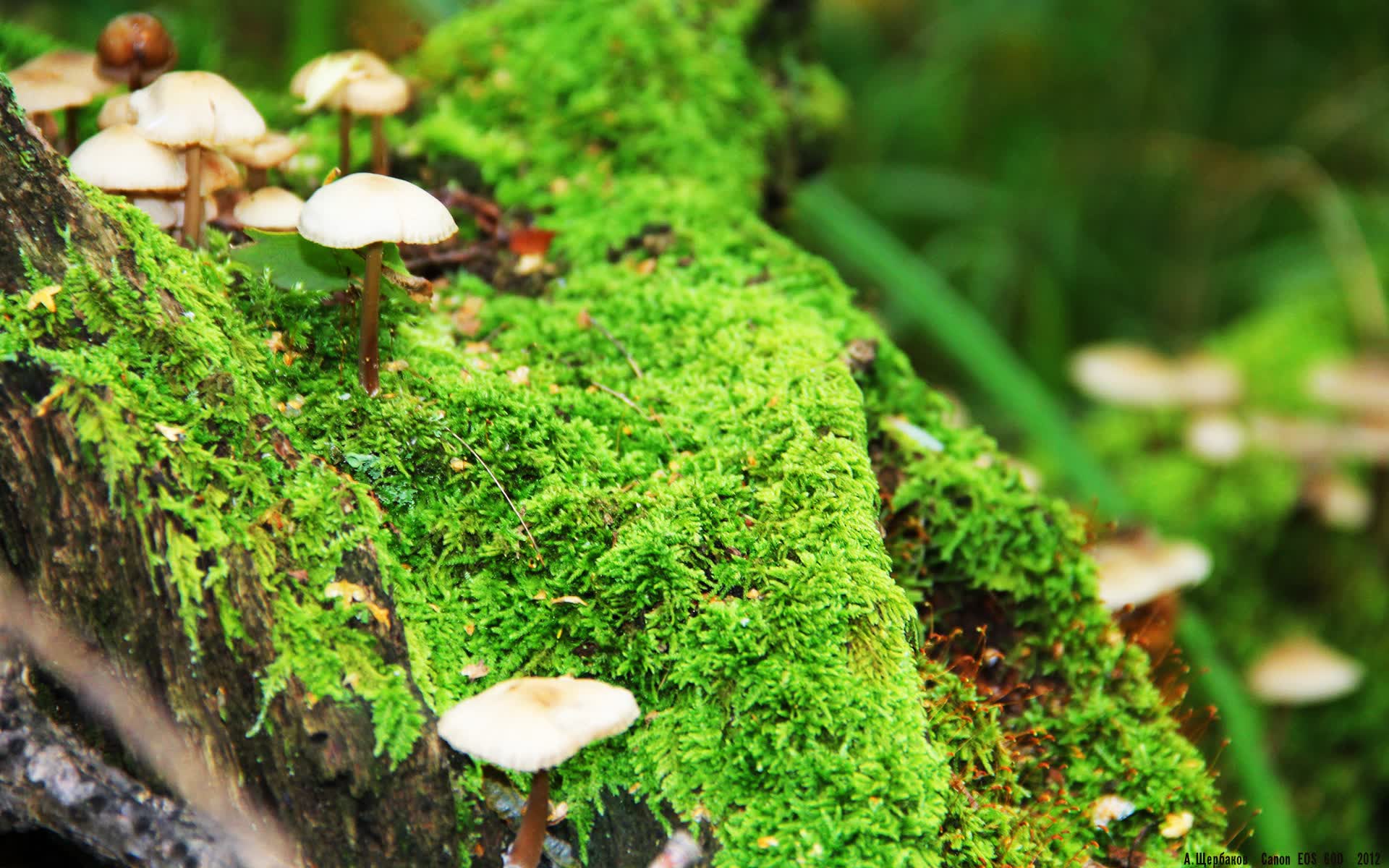 世界举重康复继续教育学分体系上线:鼓励理疗师持续学习,世界举重协会官网